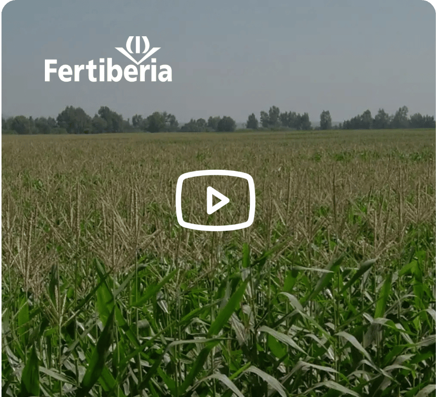 Caso de éxito de Fertiberia con Prodity
